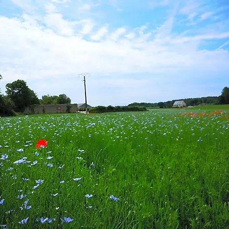 Les De Thiergeville